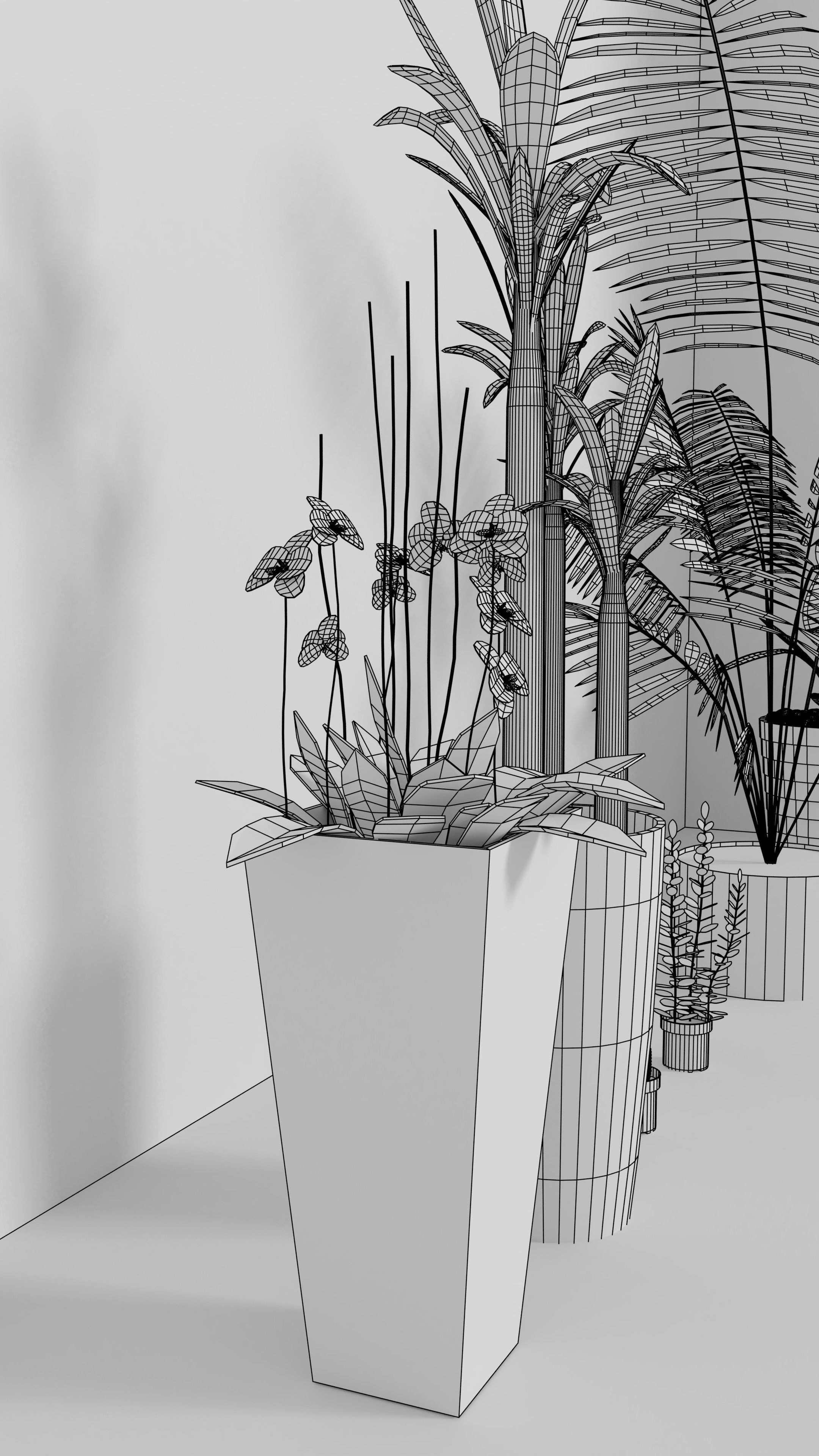 3D Models of plants 3D model_12