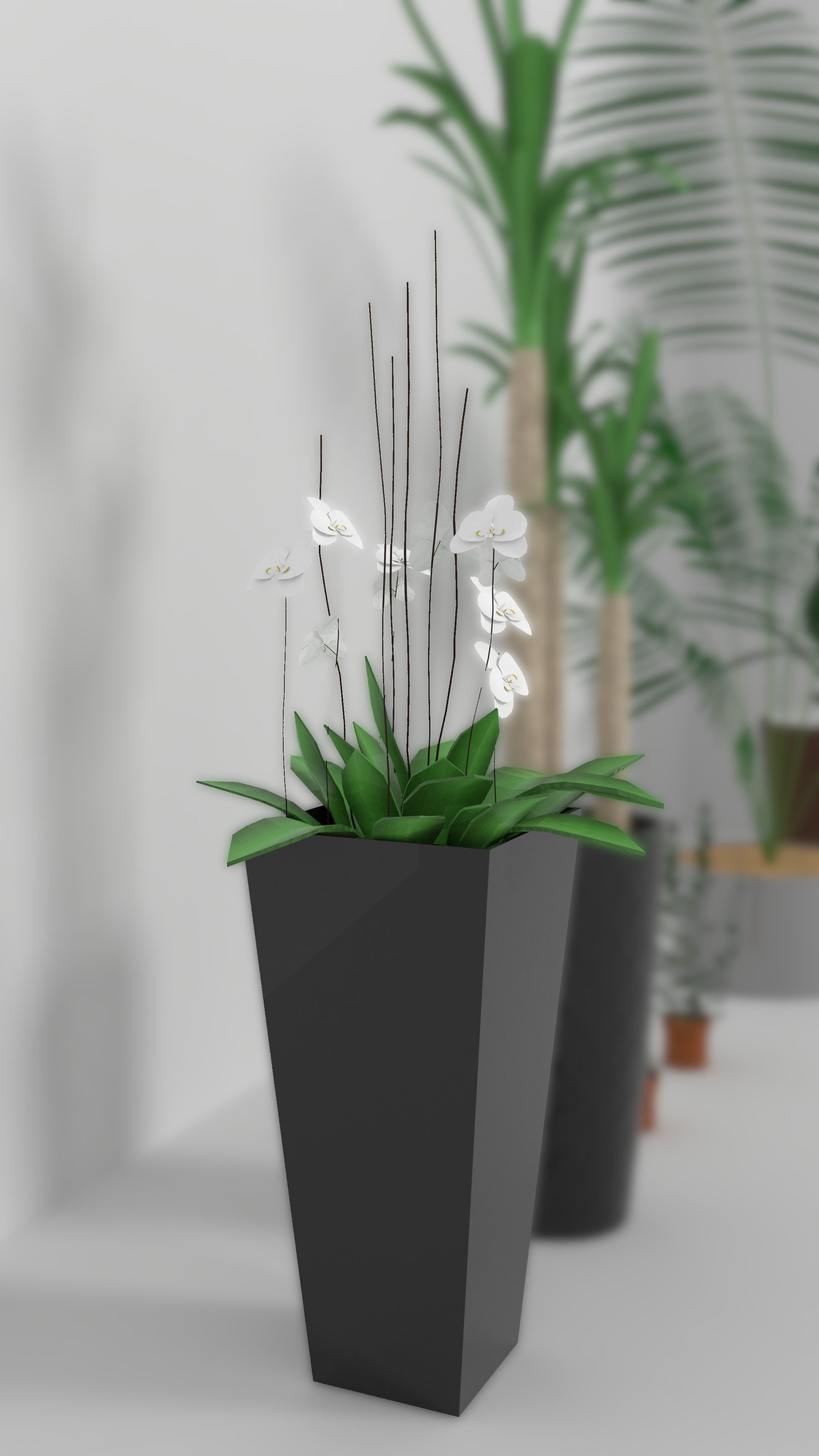 3D Models of plants 3D model_11