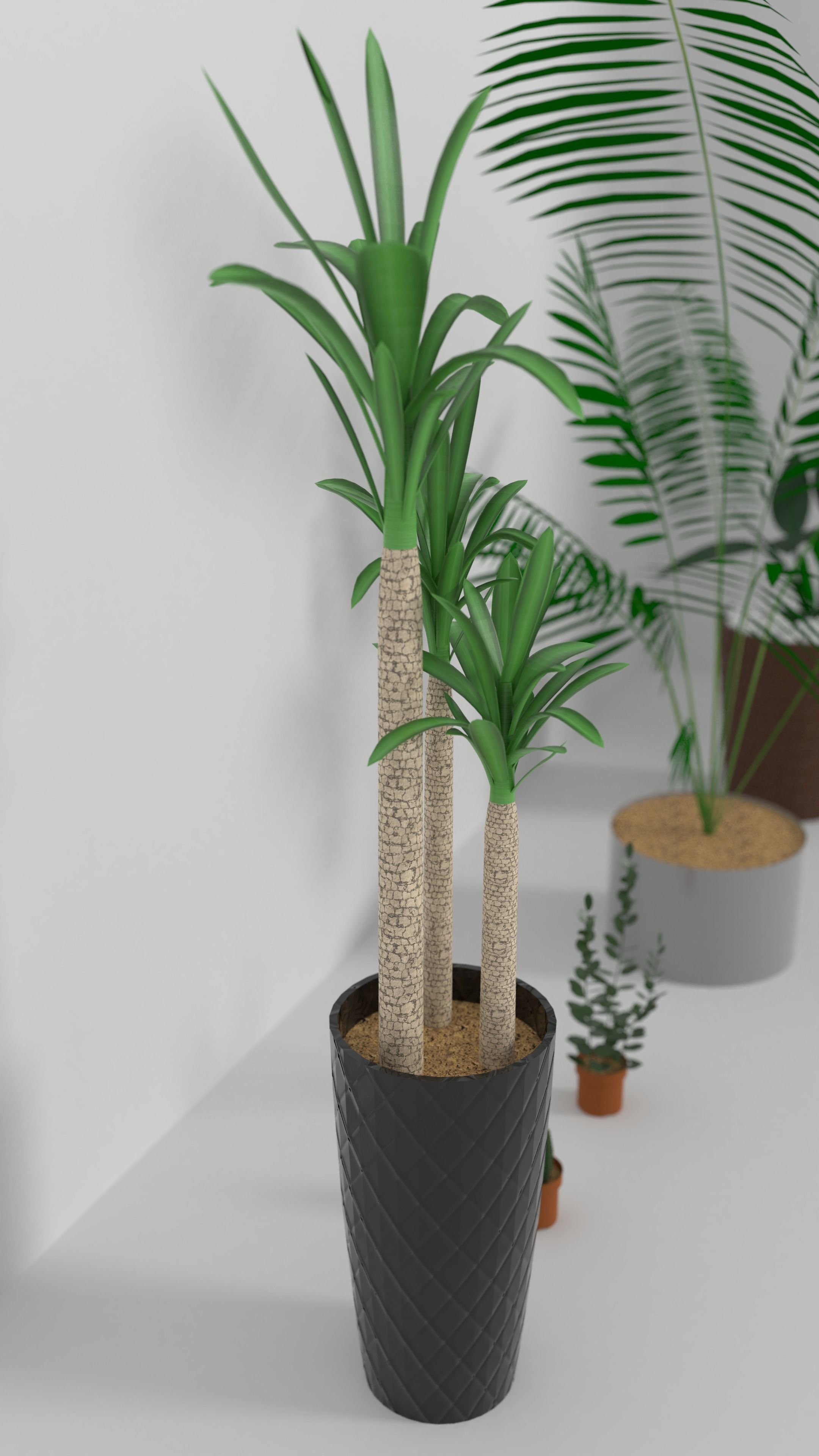 3D Models of plants 3D model_9