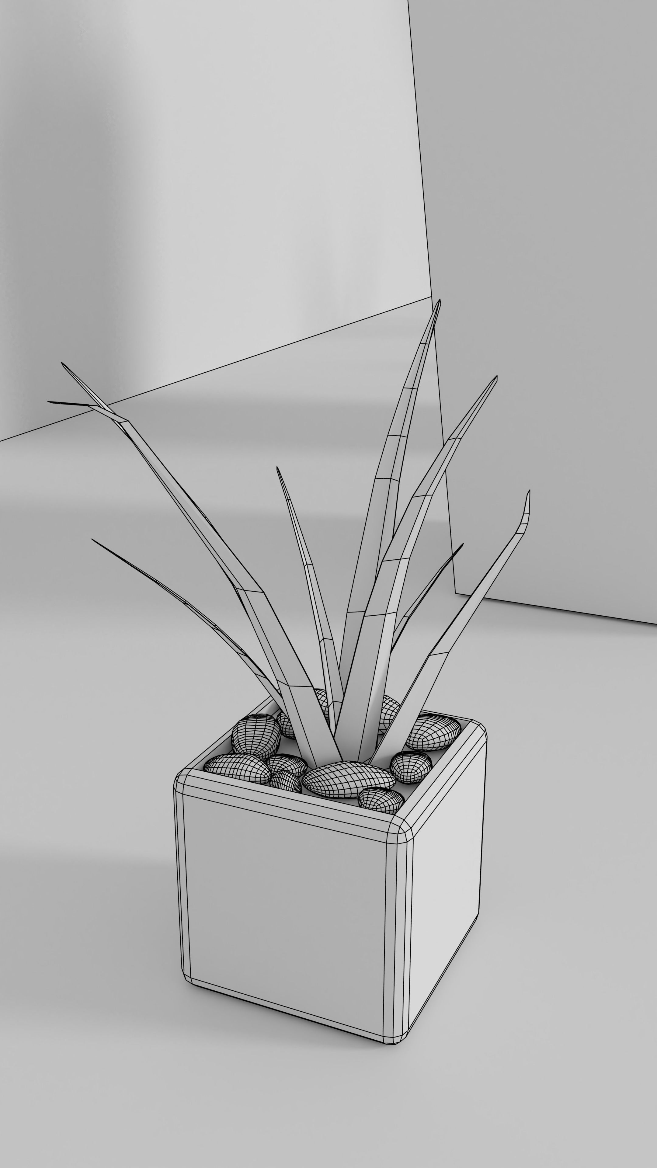 3D Models of plants 3D model_14