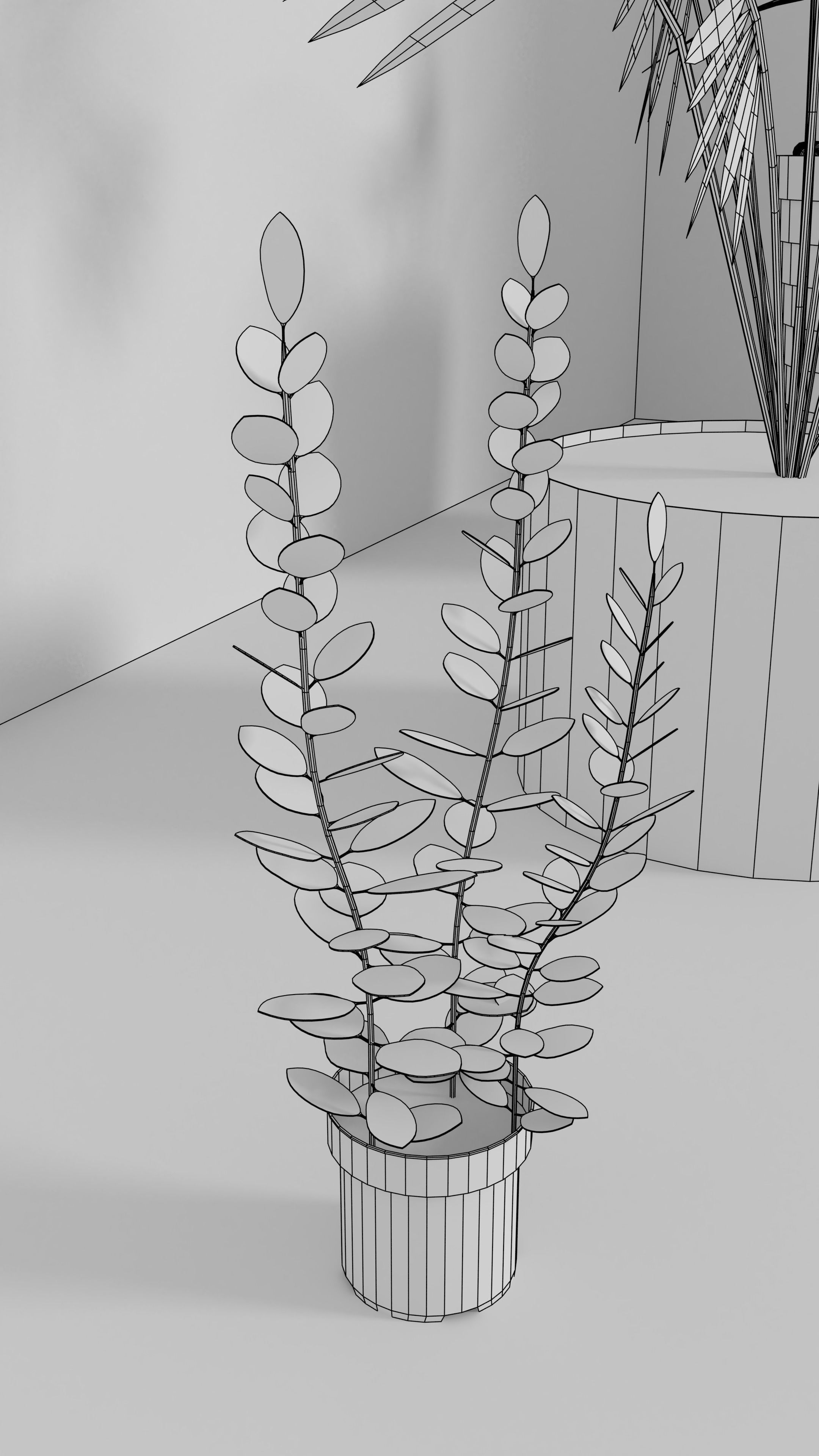 3D Models of plants 3D model_6