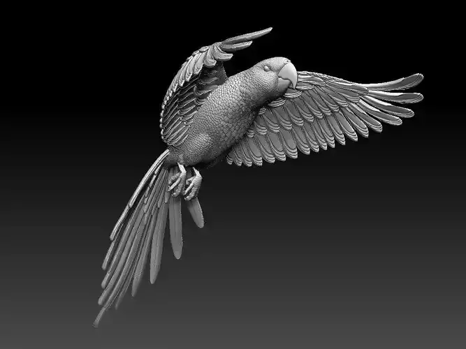 parrot flying in air 3D print model