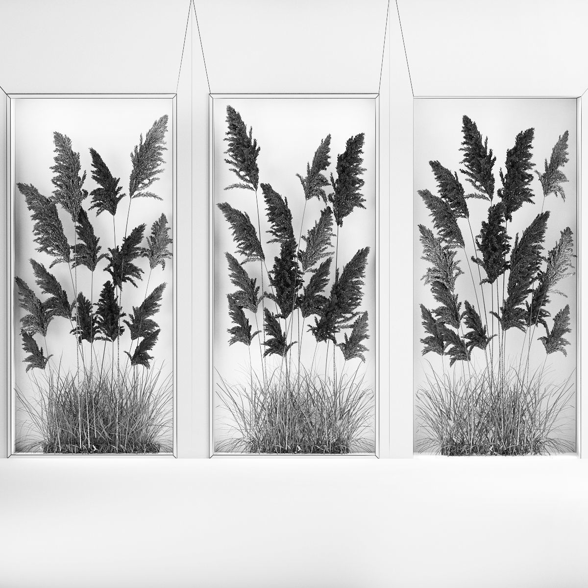 Vertical garden Of Dry Palm Leaves And Pampas Grass 284 3D model_6