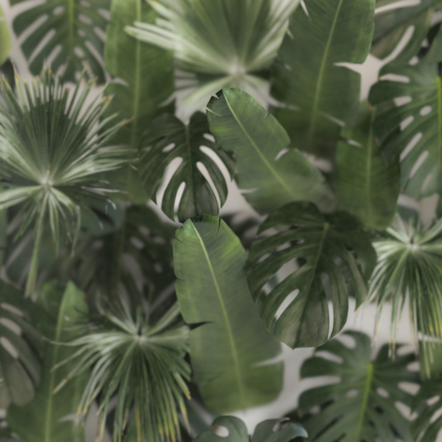 Vertical Garden In A Phyto Box Of Plant Leaves 3D model_1