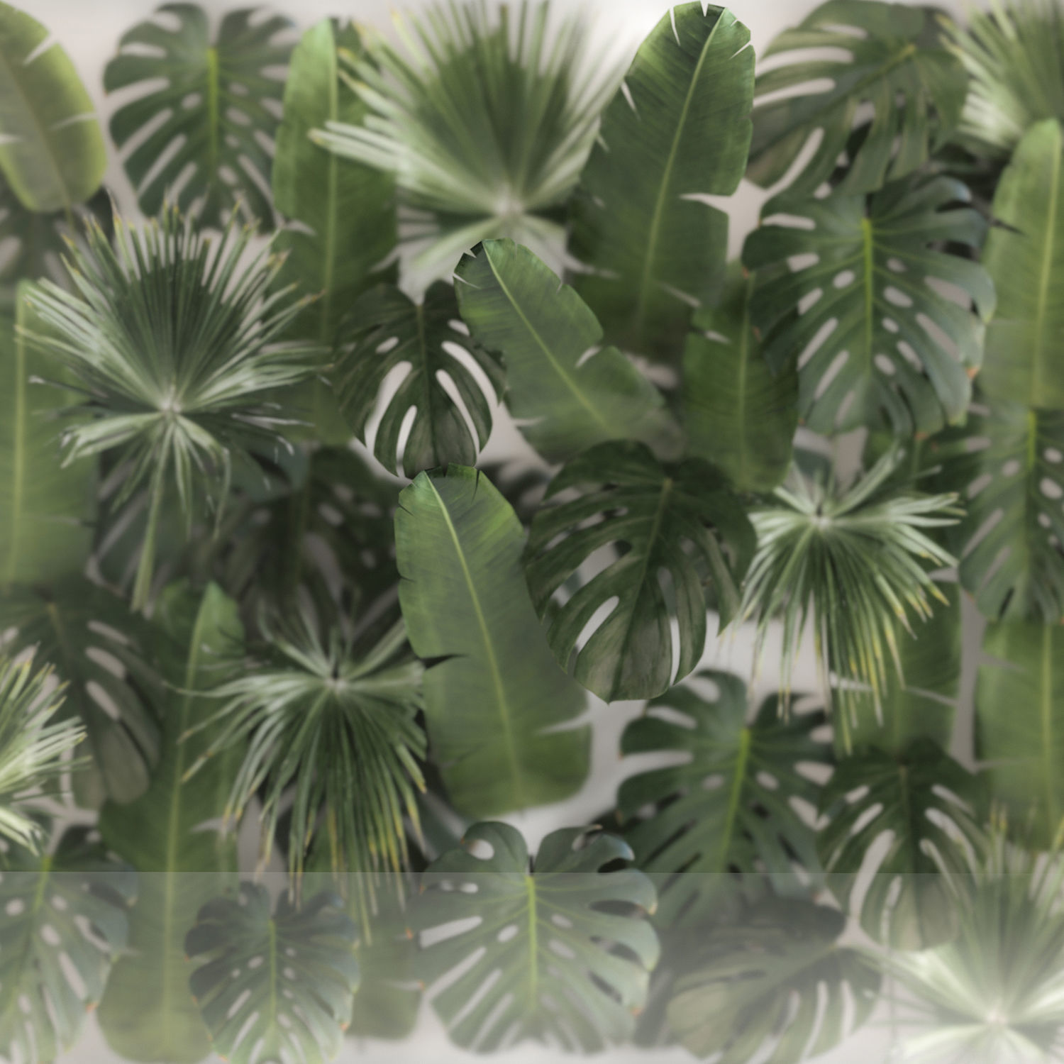 Vertical Garden In A Phyto Box Of Plant Leaves 3D model_3