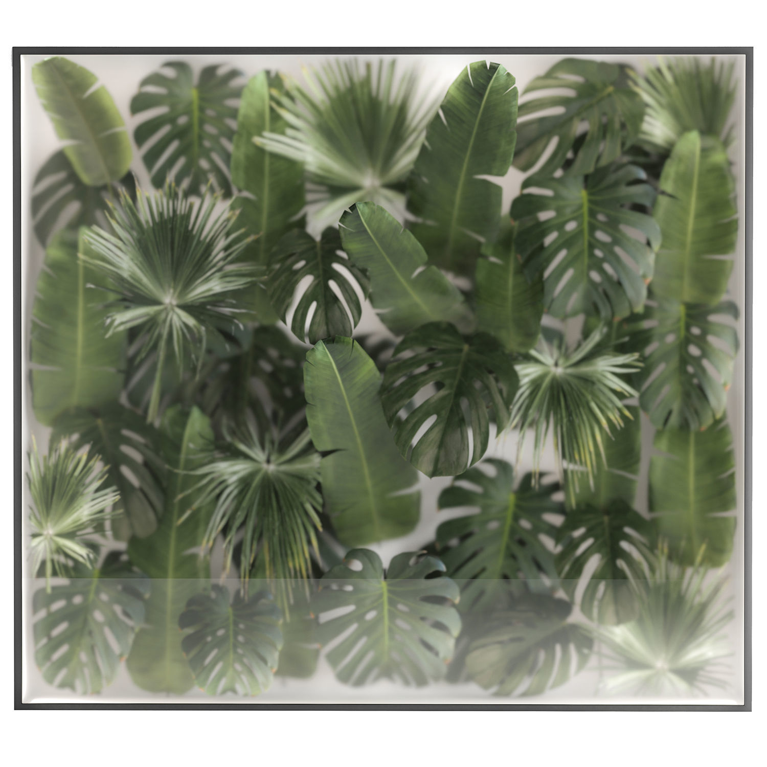 Vertical Garden In A Phyto Box Of Plant Leaves 3D model_5