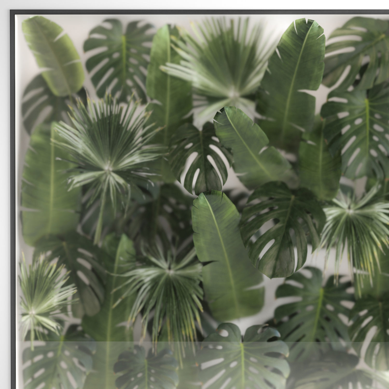 Vertical Garden In A Phyto Box Of Plant Leaves 3D model_4