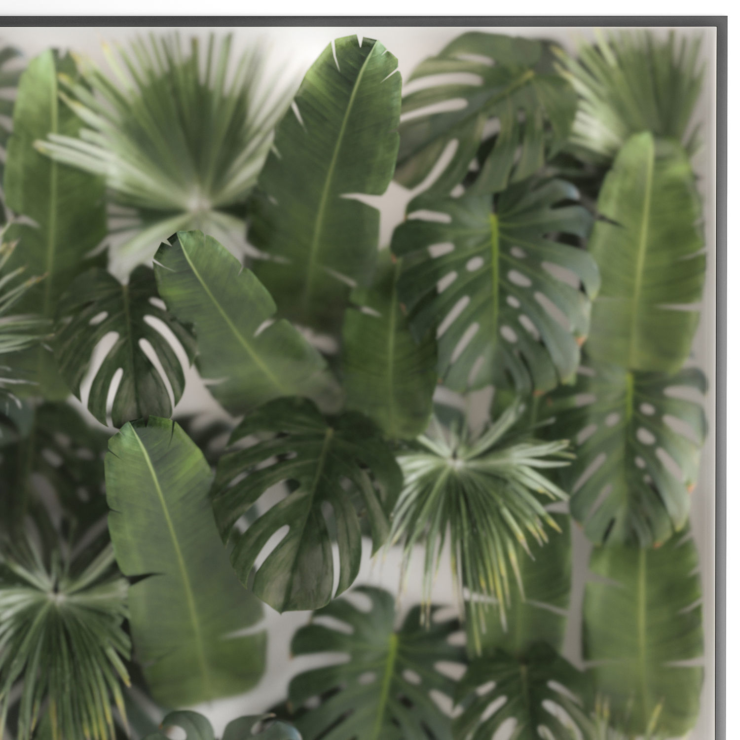 Vertical Garden In A Phyto Box Of Plant Leaves 3D model_2