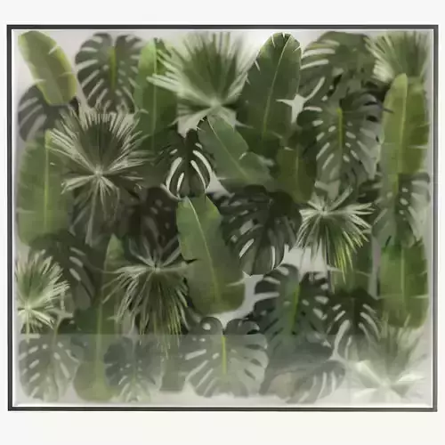 Vertical Garden In A Phyto Box Of Plant Leaves 3D model