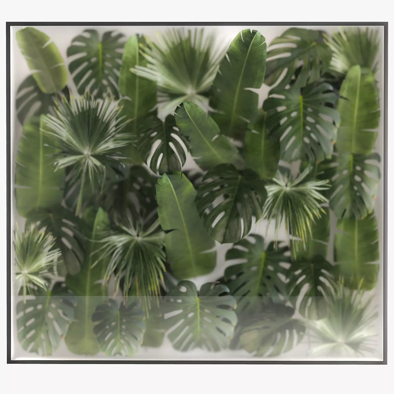 Vertical Garden In A Phyto Box Of Plant Leaves 3D model_0