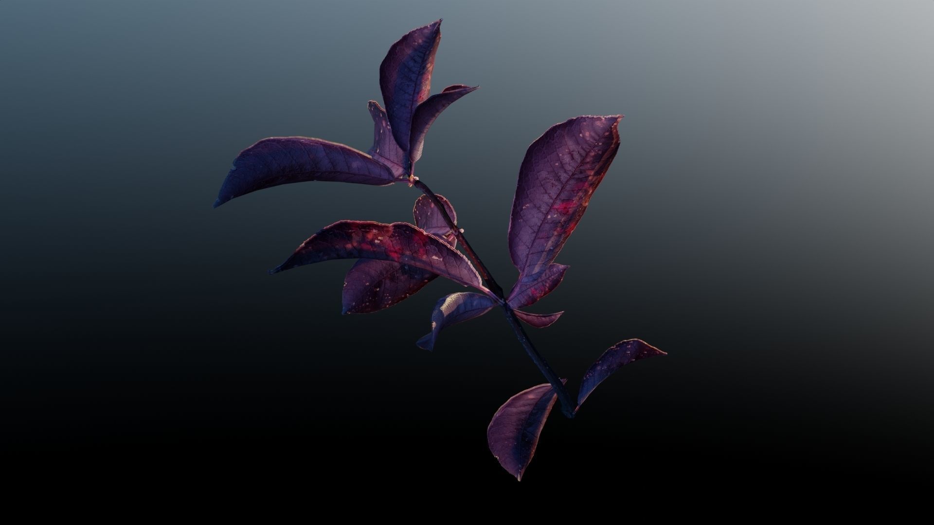 Purple Tree Leaves - Branch for Particle Generation Low-poly 3D model_4
