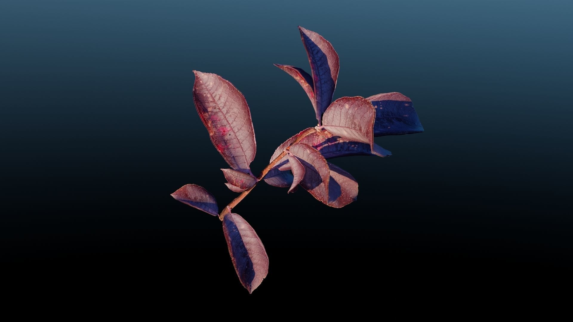 Purple Tree Leaves - Branch for Particle Generation Low-poly 3D model_3