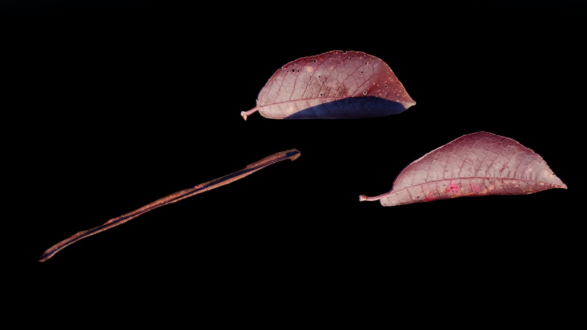 Purple Tree Leaves - Branch for Particle Generation Low-poly 3D model_5