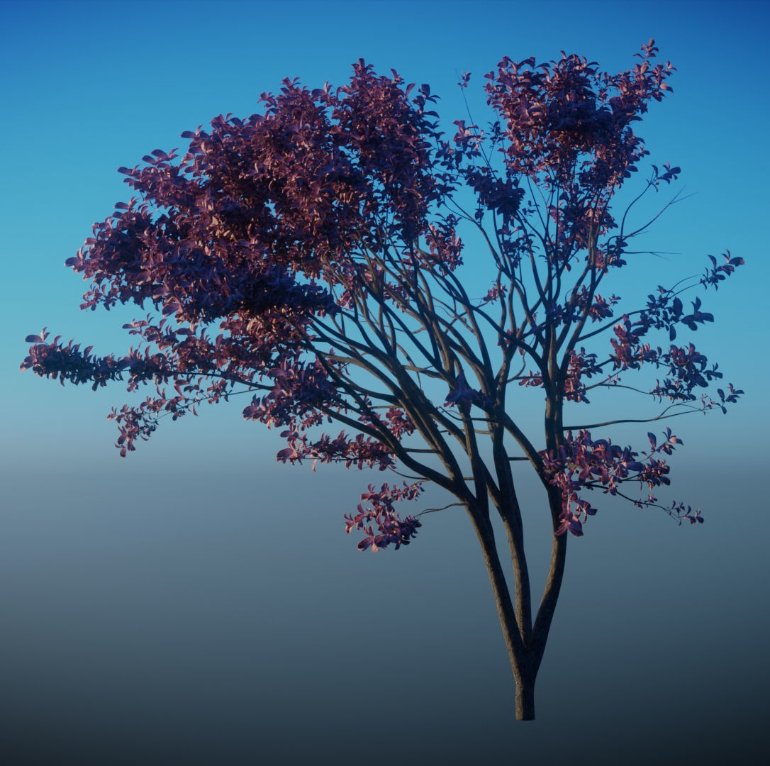 Purple Tree Leaves - Branch for Particle Generation Low-poly 3D model_7
