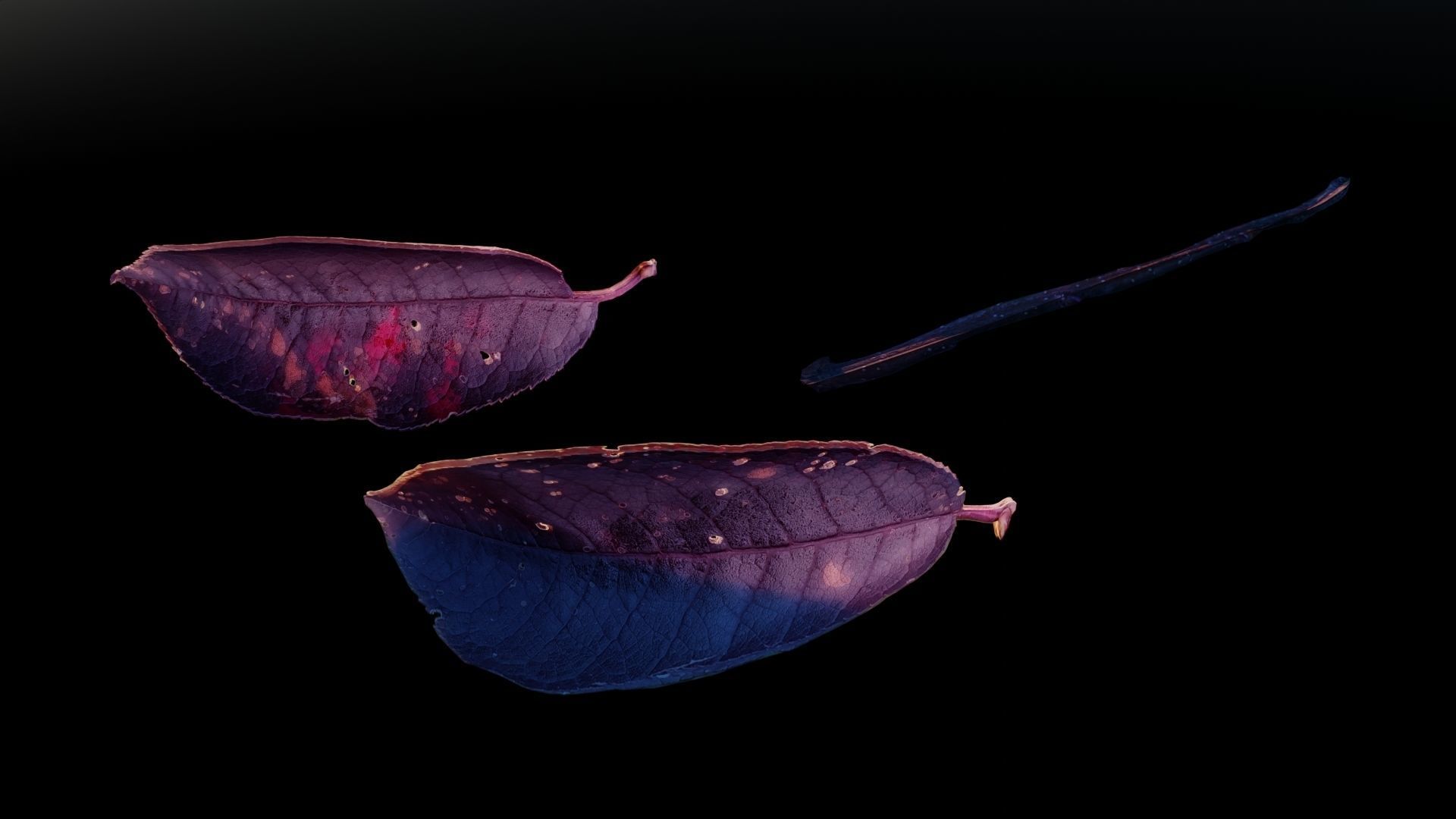 Purple Tree Leaves - Branch for Particle Generation Low-poly 3D model_6