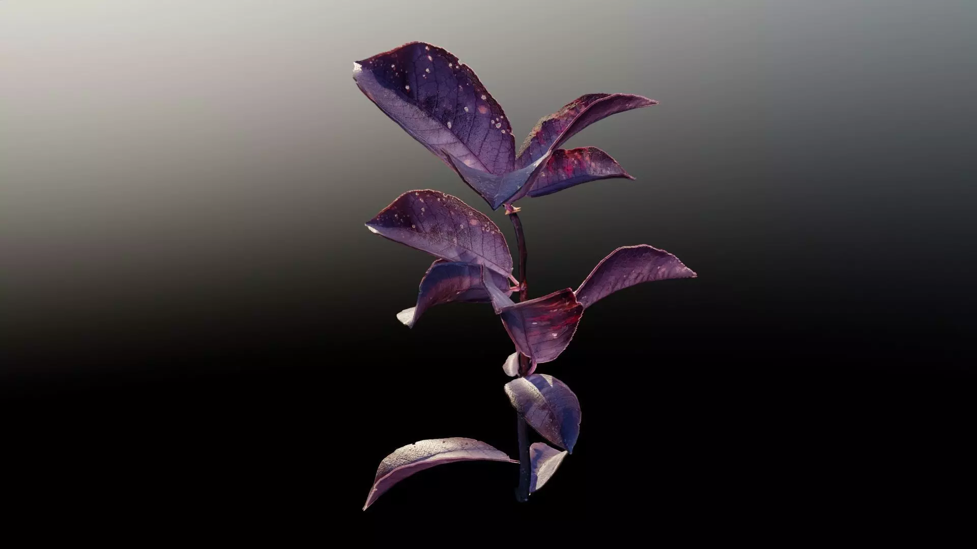 Purple Tree Leaves - Branch for Particle Generation Low-poly 3D model_0
