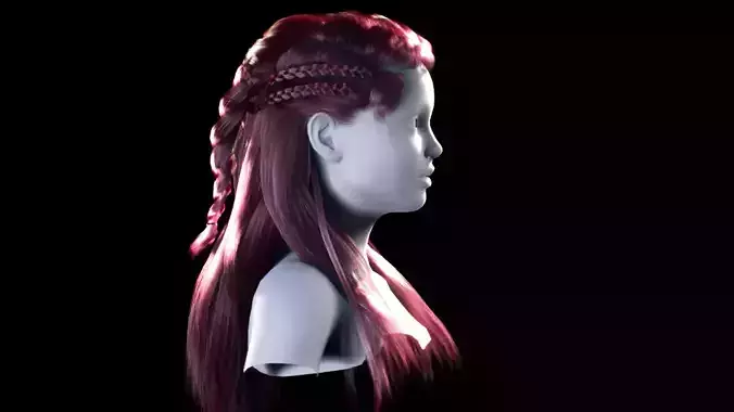 Female Viking Hairstyle