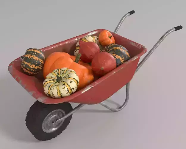 Wheelbarrow with pumpkins