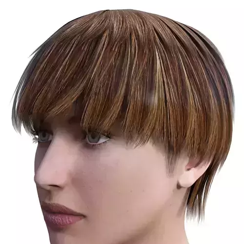 femal hair Amelia Free 3D model