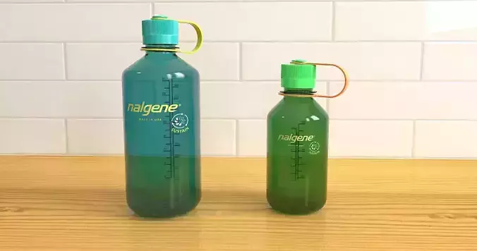 Nalgene Plastic Bottles 3D model