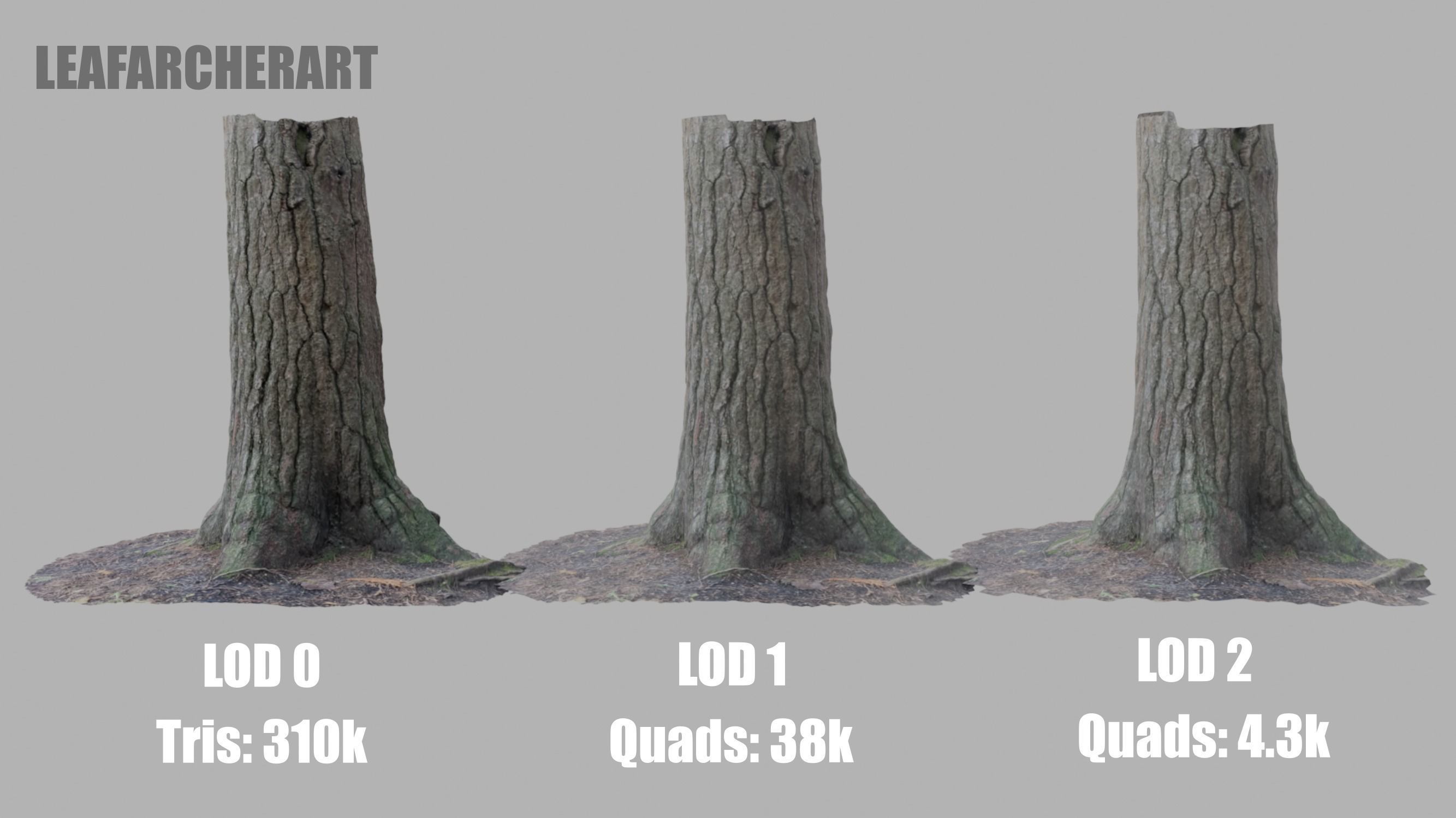 Conifer Tree Trunk - Photoscan 3D Model - Varying LOD Free low-poly 3D model_13