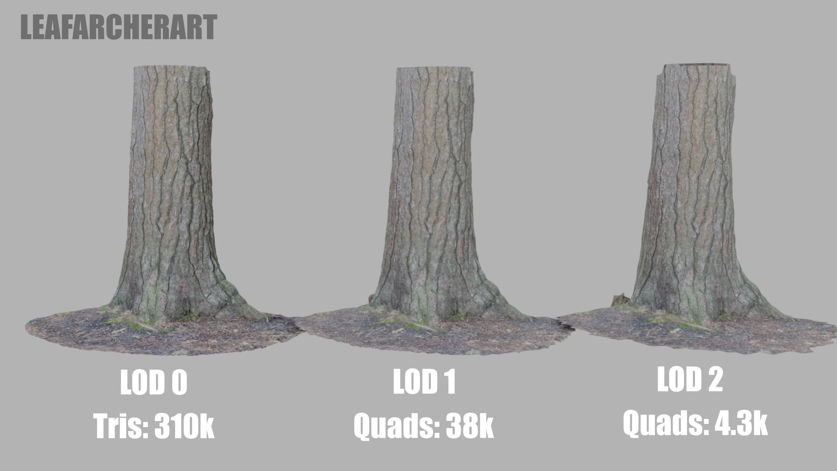 Conifer Tree Trunk - Photoscan 3D Model - Varying LOD Free low-poly 3D model_12