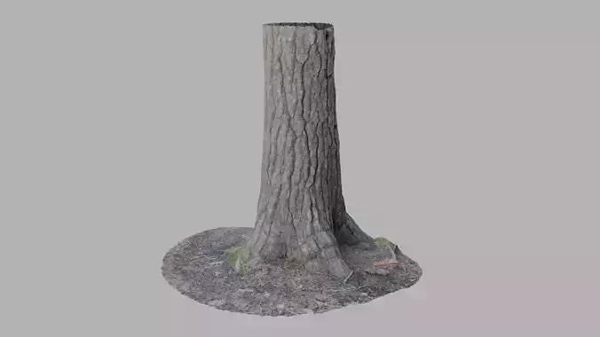 Conifer Tree Trunk - Photoscan 3D Model - Varying LOD Free low-poly 3D model