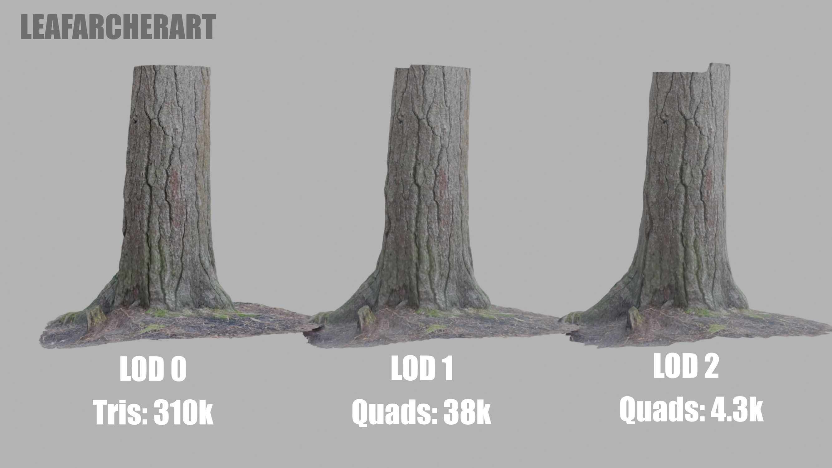 Conifer Tree Trunk - Photoscan 3D Model - Varying LOD Free low-poly 3D model_9