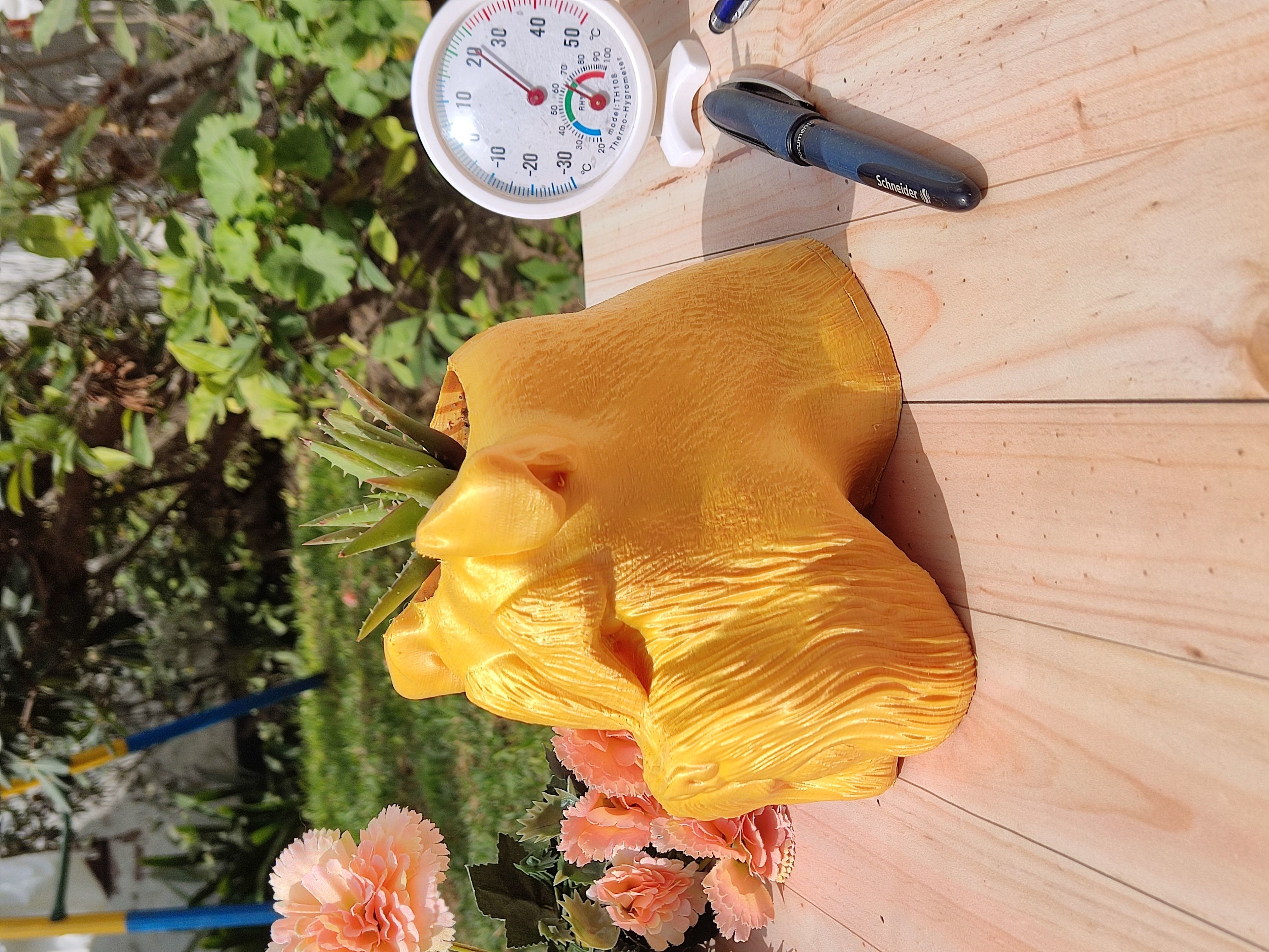 MACETA PLANT POT SCHANUZER 3D print model_2