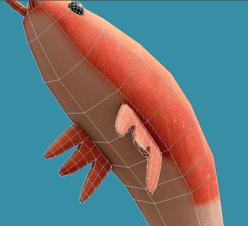 Shrimp Toy Low-poly 3D model_6