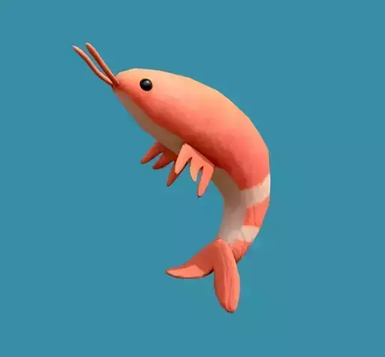 Shrimp Toy