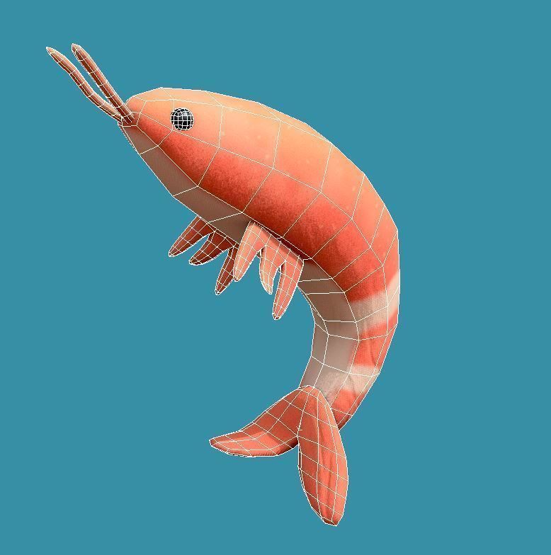 Shrimp Toy Low-poly 3D model_5