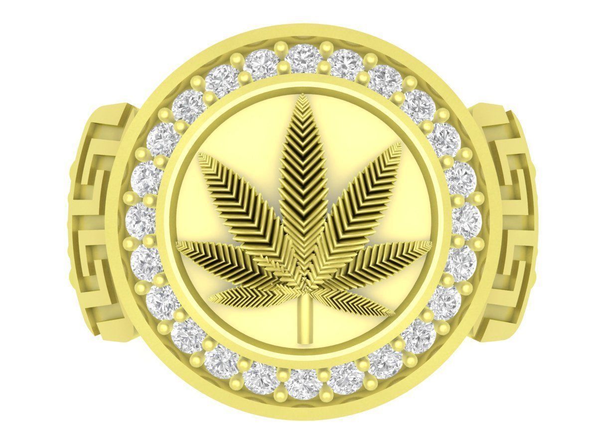 leaf of poppy ring for men 3816 3D print model_1