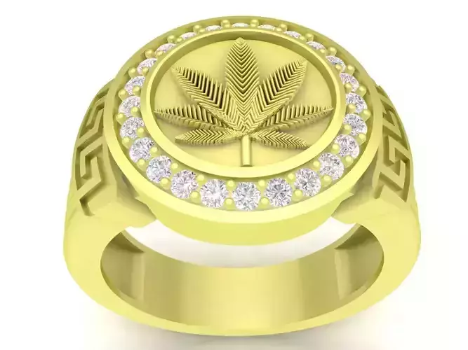 leaf of poppy ring for men 3816 3D print model
