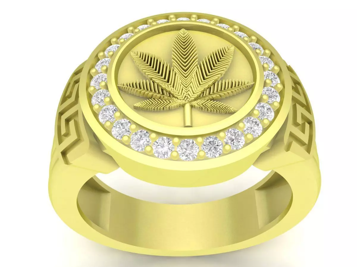 leaf of poppy ring for men 3816 3D print model_0