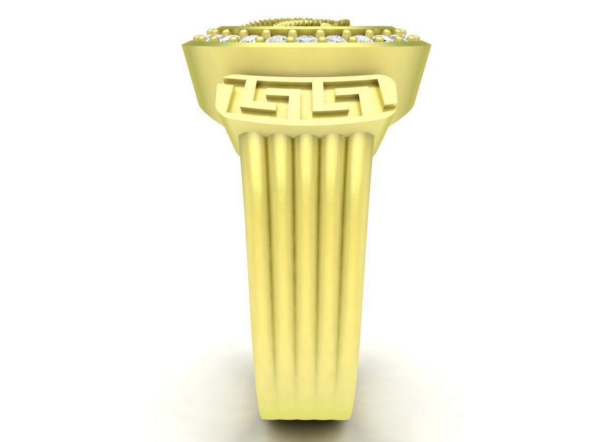 leaf of poppy ring for men 3816 3D print model_2