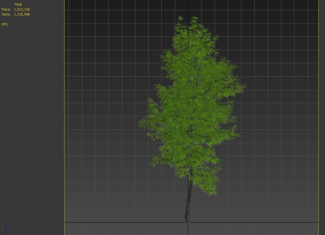 Fraxinus ornus 3D model_7