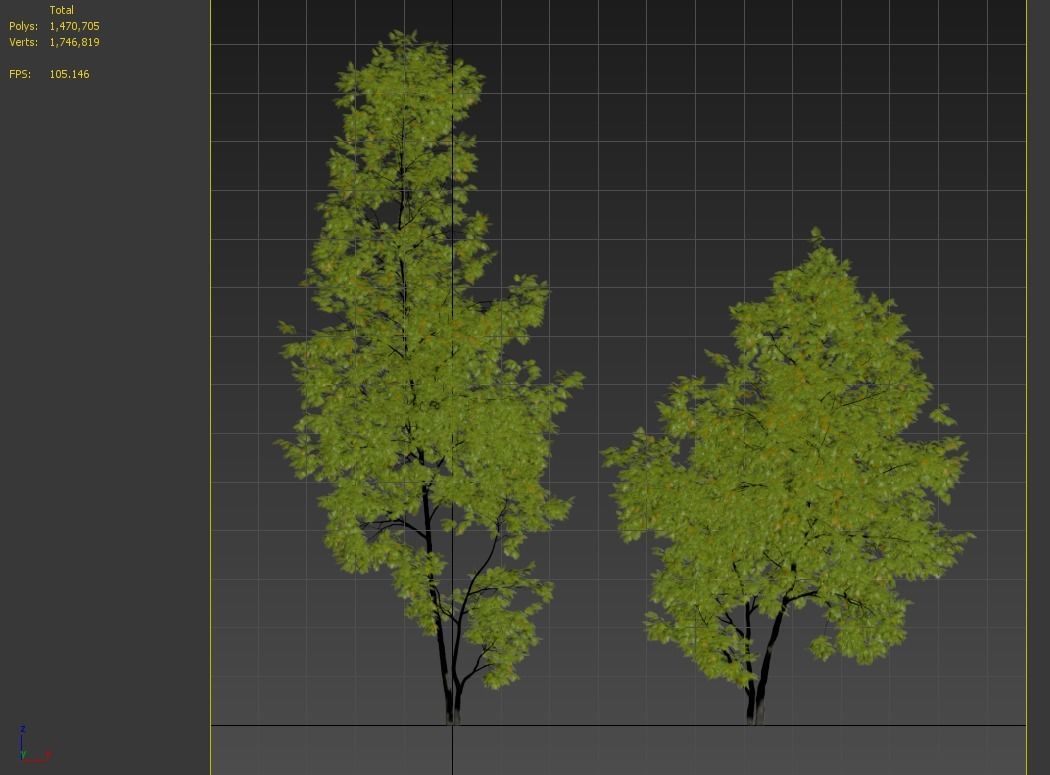 Coliseum maple 3D model_7