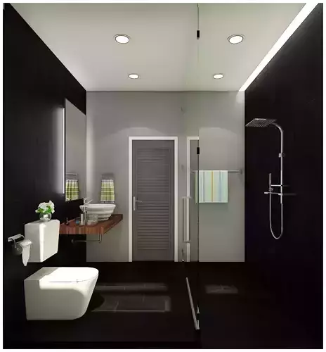 bathroom 2 designs