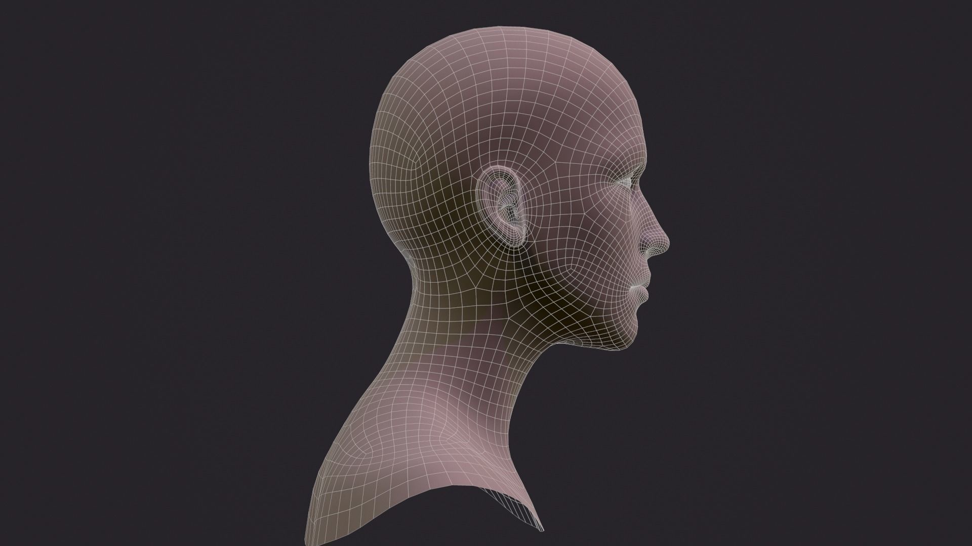  Female Head -  01  Free low-poly 3D model_2