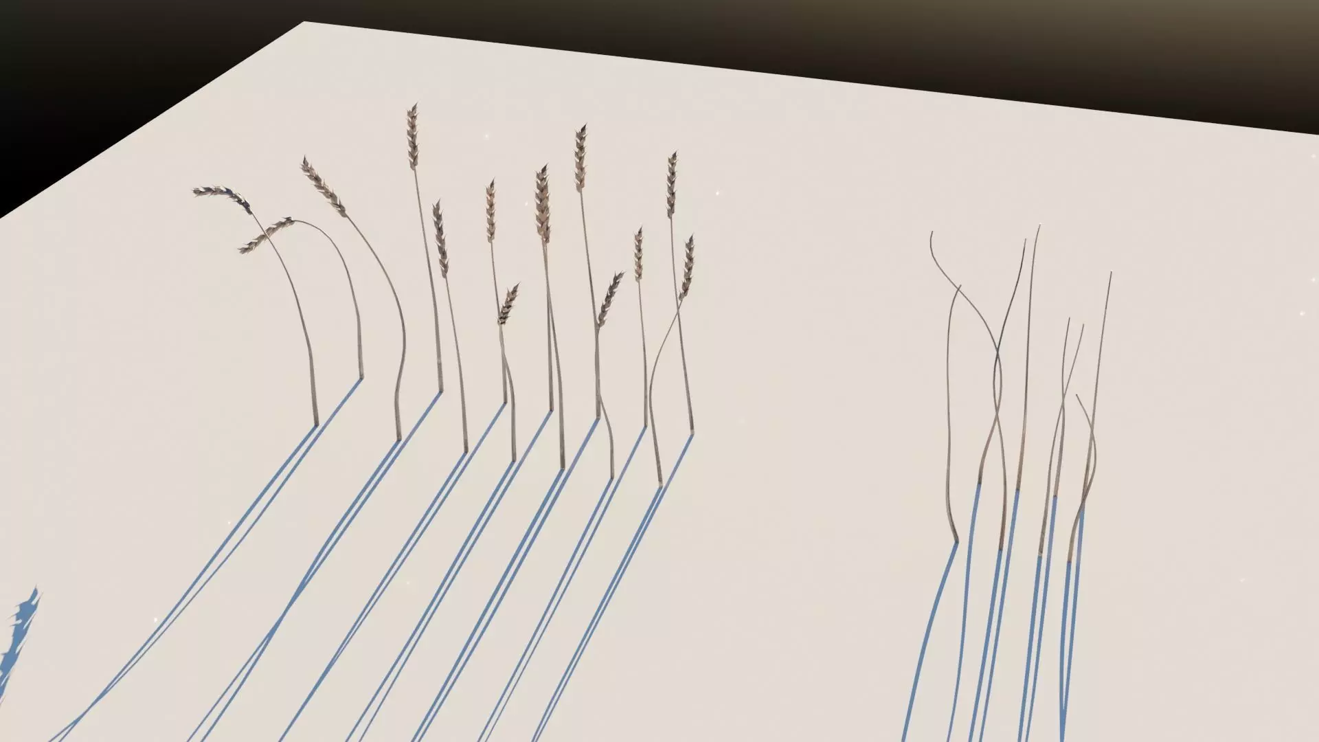 wheat grasses and reeds Low-poly 3D model_0