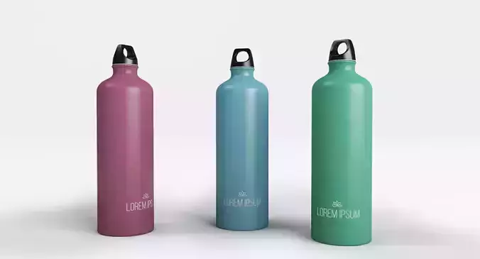 Metal Bottle 3D model