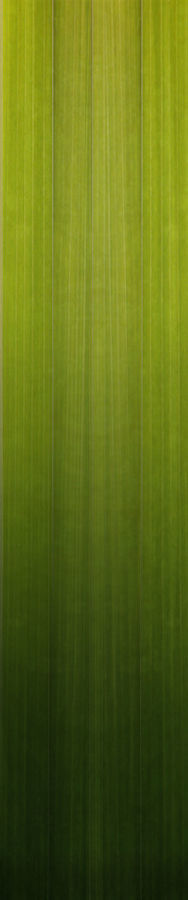 Mansion in the woods Free 3D model_4