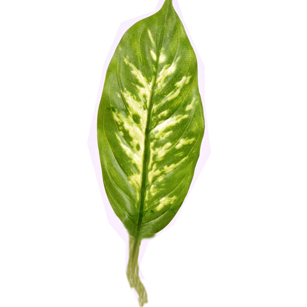 Mansion in the woods Free 3D model_14