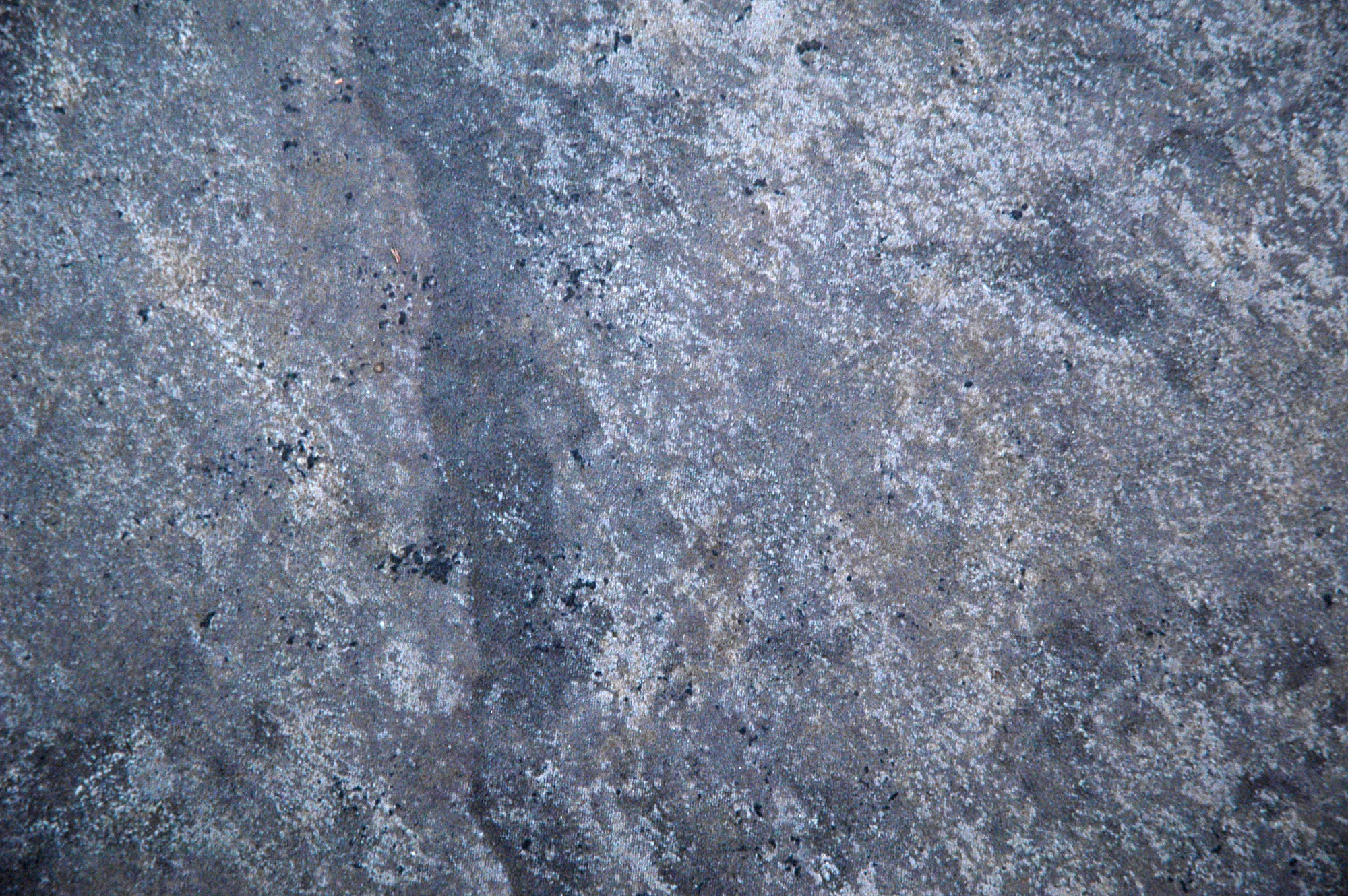 Mansion in the woods Free 3D model_24