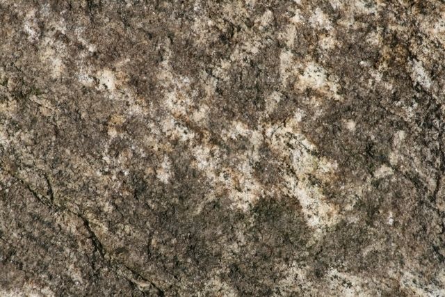 Mansion in the woods Free 3D model_22