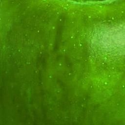 Mansion in the woods Free 3D model_8