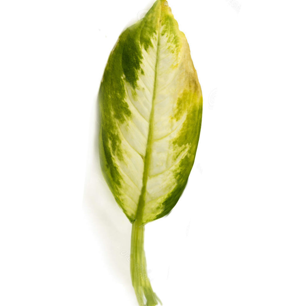 Mansion in the woods Free 3D model_19