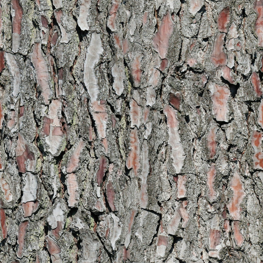 Mansion in the woods Free 3D model_15