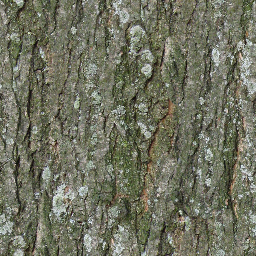 Mansion in the woods Free 3D model_12